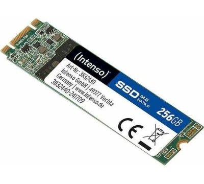 Intenso Top 256GB