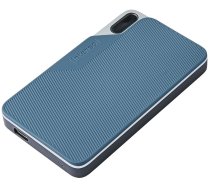 Intenso TX100 250GB