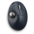 KENSINGTON ProFit Ergo TB550 product thumbnail