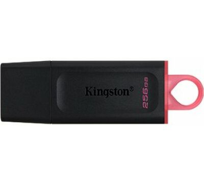 Kingston DataTraveler 256GB USB3.2 DTKN/256GB