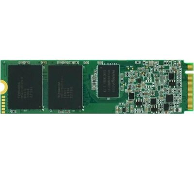 MicroStorage 1TB