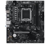 MSI PRO A620AM-B EVO