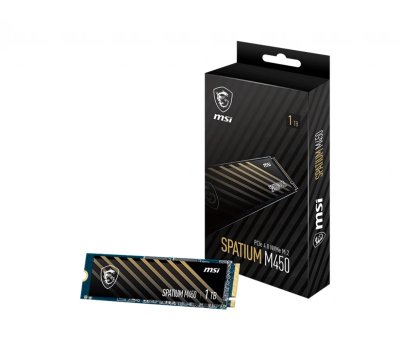 MSI SPATIUM M450 1TB