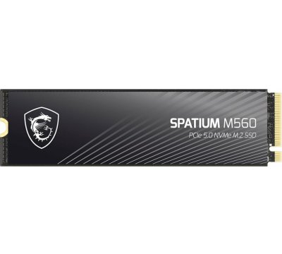 MSI Spatium M560 1TB