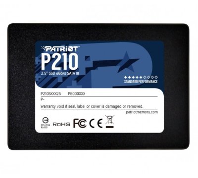 Patriot P210 256GB
