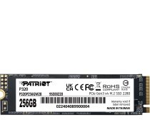 Patriot P320 256GB