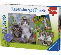 Ravensburger Kittens 080465, 3x49 gab.