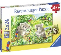 Ravensburger Suse Koalas und Pandas - Puzzlespiel - 24 Stuck(e) - Fauna - Vorschulalter - 4 Jahr(e) (07820) 4005556078202 07820 (4005556078202) ( JOINEDIT46235188 )