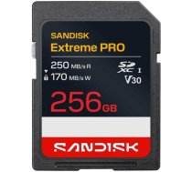 SanDisk SDSDXXJ-256G-GSCIN