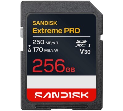 SanDisk SDSDXXJ-256G-GSCIN