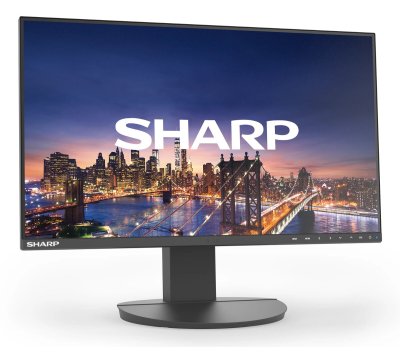 Sharp MultiSync EA242F
