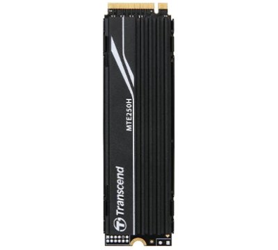 Transcend MTE250H