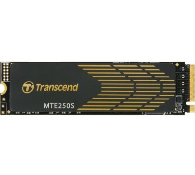 Transcend MTE250S