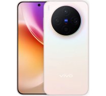vivo X300