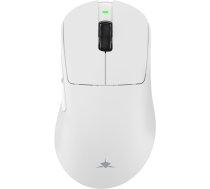 White Shark CAMILLUS WGM-9013