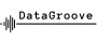datagroove.lv logo